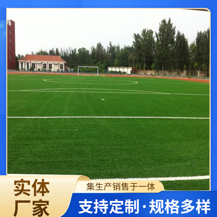 丽江市EPDM颗粒人造草坪 - 推荐